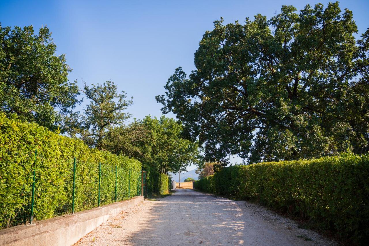 Le Colonne Bed & Breakfast Cassino Exterior photo